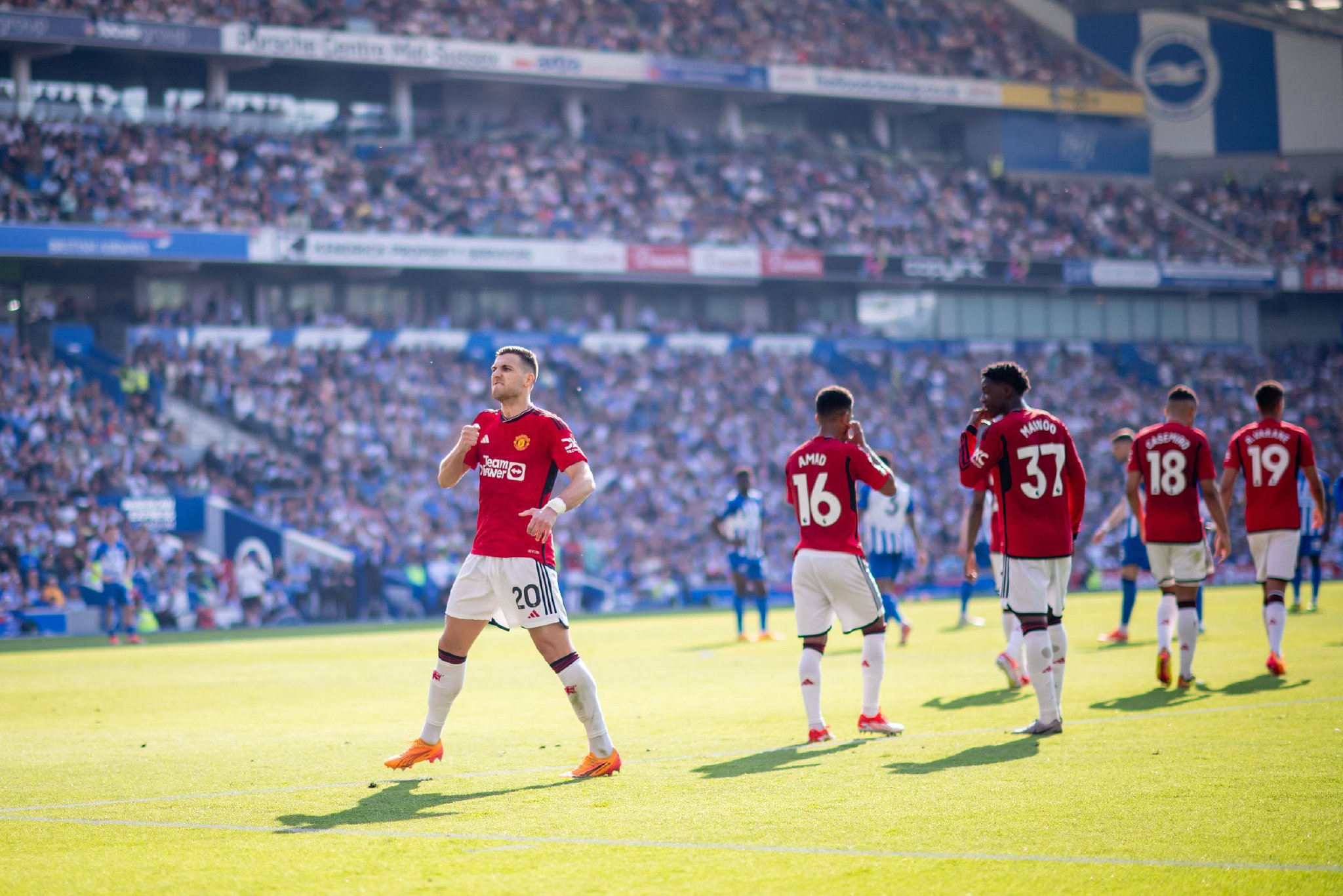 仅帮助巴拉 仅帮助巴拉